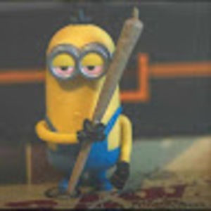 Meet your Posher, Ansley